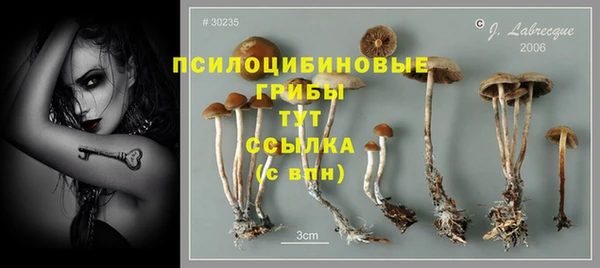 ECSTASY Алексин