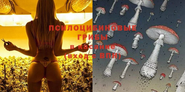 ECSTASY Алексин