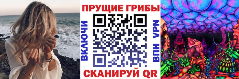 Галлюциногенные грибы Psilocybe  Серпухов 